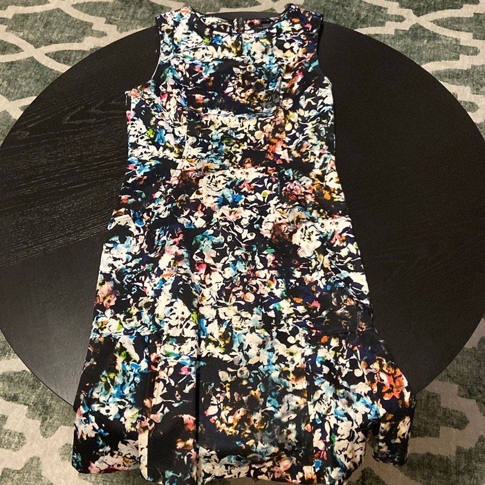 The Limited Floral Dress